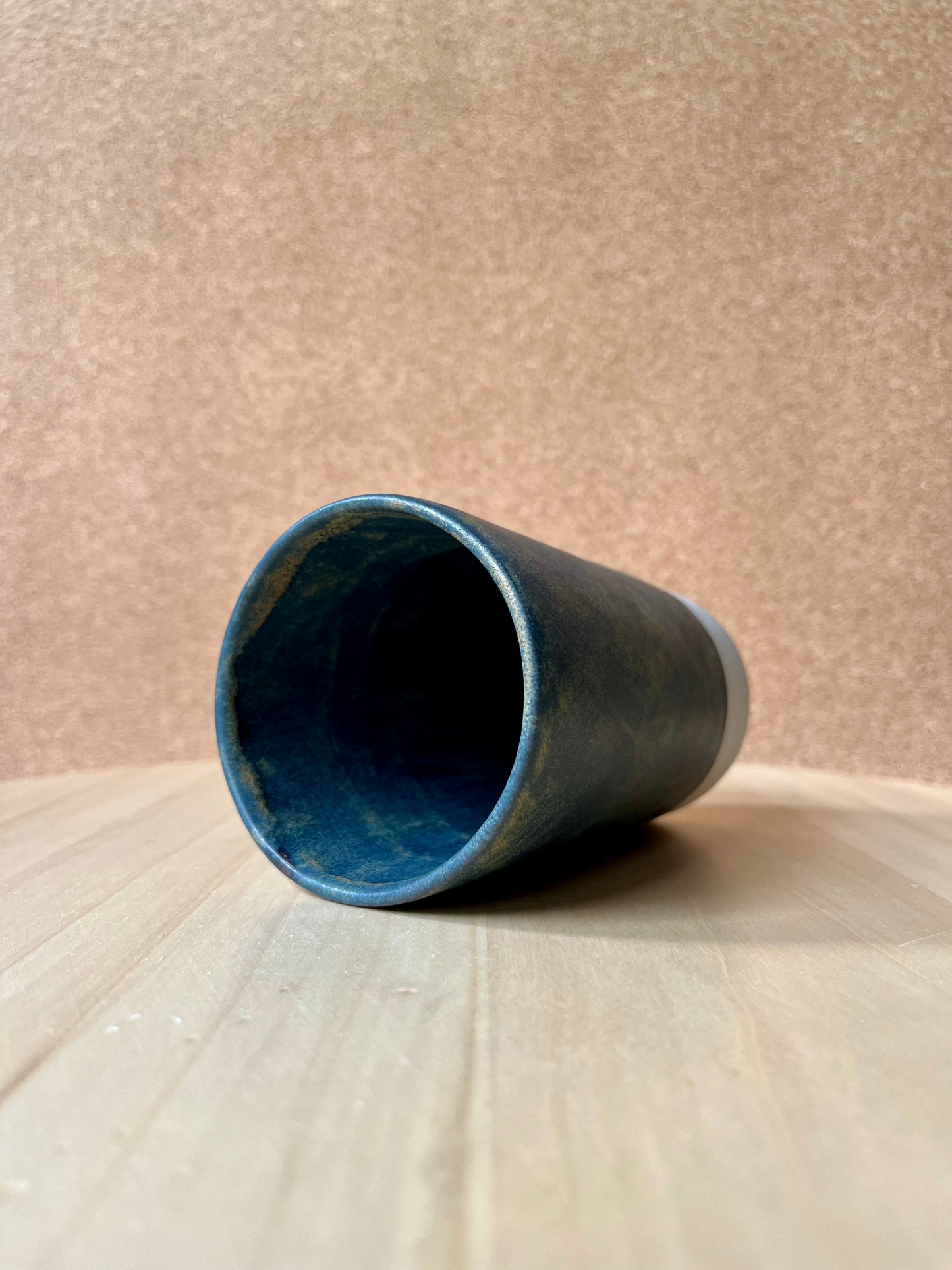 D11 - Mug Salamander