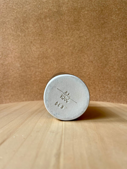 D03 - Mug Salamander